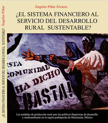 ¿El sistema financiero al servicio del desarrollo rural sustentable?: las unidades de producción rural ante las políticas financieras de desarrollo y medio ambiente en la región purhépecha de Michoacán, México