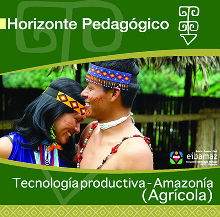 Tecnología productiva - Amazonía (Agrícola)