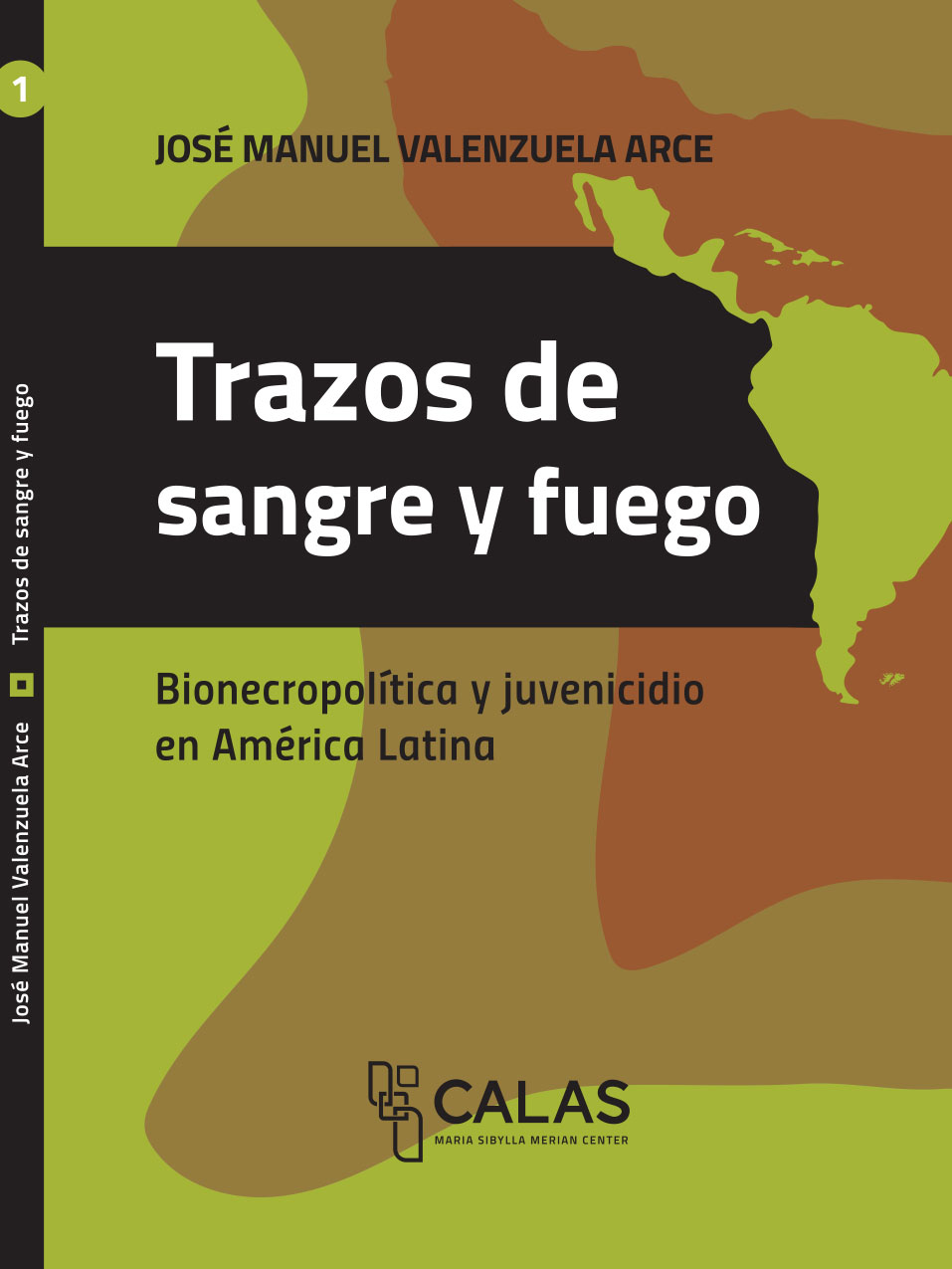 Trazos de sangre y fuego: bionecropolítica y juvenicidio en América Latina