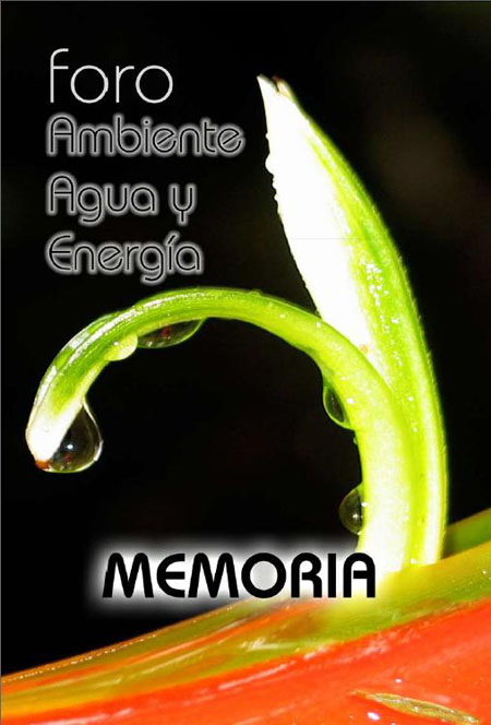 Memoria: Foro Ambiente, Agua y Energía<br/>Quito: ECOCIENCIA. 2006. 39 p. 