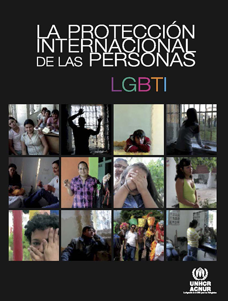 La protección internacional de las personas LGBTI: solicitudes de la condición de refugiado relacionadas con la orientación sexual y/o la identidad de género<br/>México, D. F. : México: ACNUR. 2014. 42 páginas 