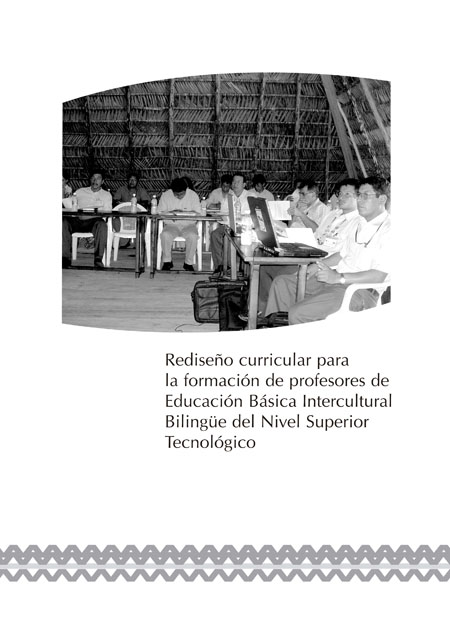 Rediseño curricular para la formación de profesores de Educación Básica Intercultural Bilingüe del Nivel Superior Tecnológico<br/>Quito: UNICEF : DINEIB : Universidad de Cuenca. 2007. 165 páginas 