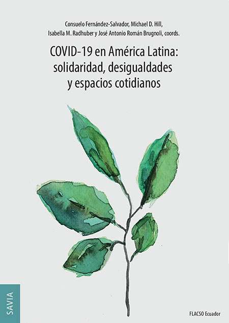 COVID-19 en América Latina: solidaridad, desigualdades y espacios cotidianos