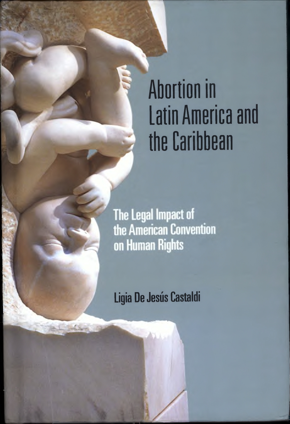 Abortion in Latin America and the Caribbean